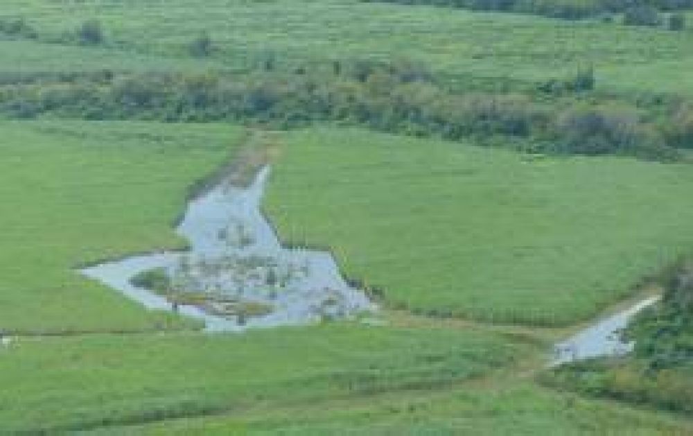 Prev�n millonarias p�rdidas en los campos saturados y sin drenaje