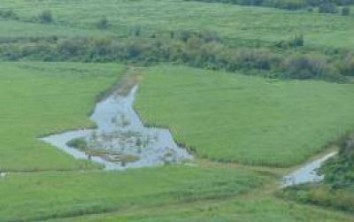 Prev�n millonarias p�rdidas en los campos saturados y sin drenaje