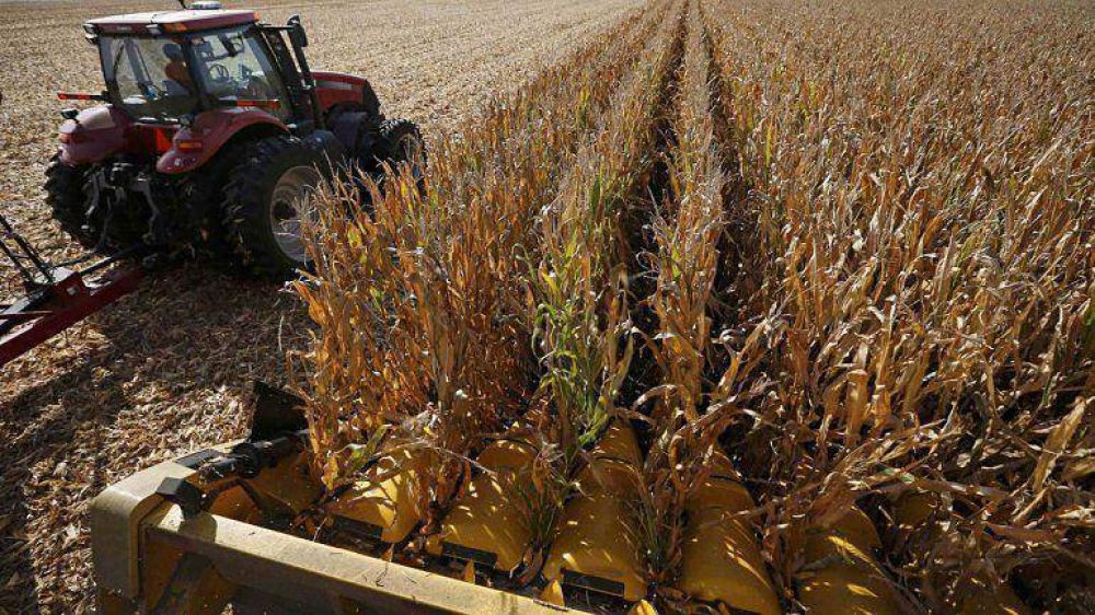 Comenz� un nuevo el paro del campo en rechazo a la pol�tica oficial para el sector