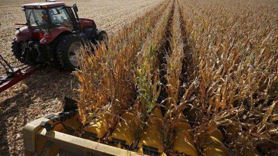 Comenz� un nuevo el paro del campo en rechazo a la pol�tica oficial para el sector