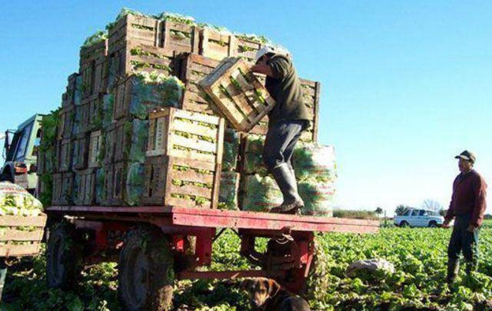 Por la lluvia, sube precio de la verdura de hoja en C�rdoba
