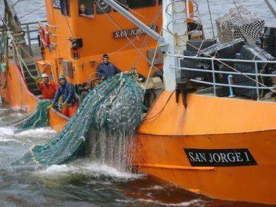 San Jorge I: dos semanas y no hay rastros de los desaparecidos 