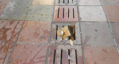Denuncian abandono de la peatonal San Mart�n