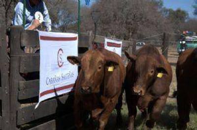 Productores del campo salte�o adhieren al paro nacional 