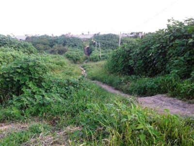 Vecinos del ex Suipacha piden mejoras