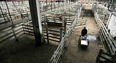 P�rez: �El paro del campo es para concienciar a la gente�