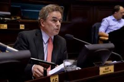 Gay dijo que hay que buscar alianzas con otros espacios