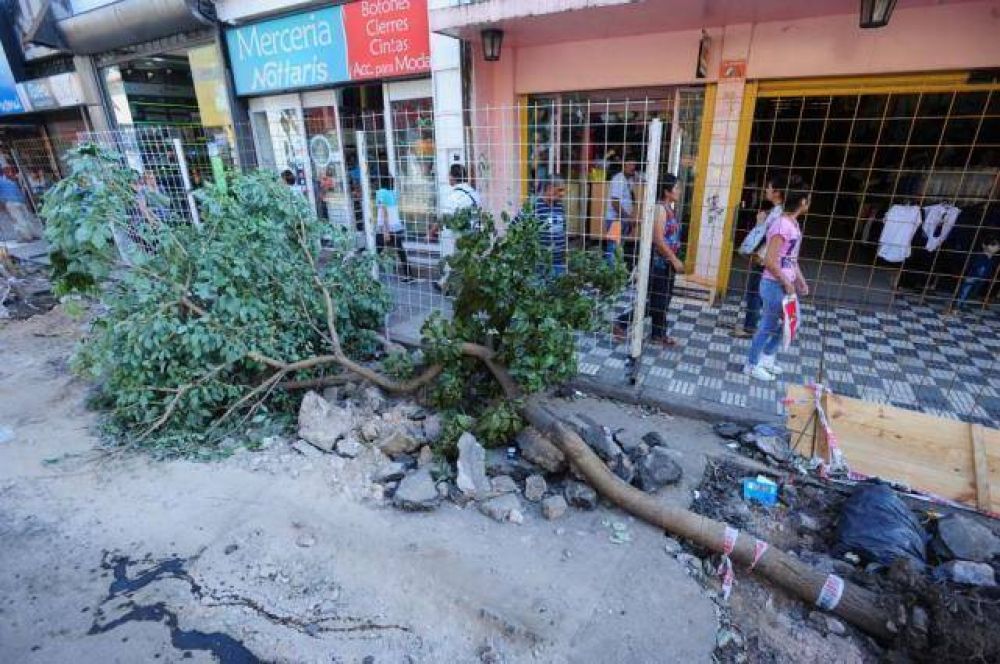Reemplazan los naranjos por lapachos en las peatonales
