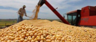 Con un acatamiento dispar, termin� el paro del campo
