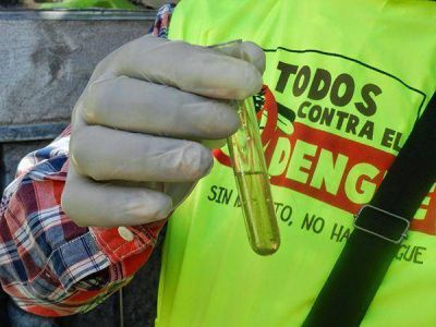 Aconsejan extremar medidas de prevenci�n contra el dengue