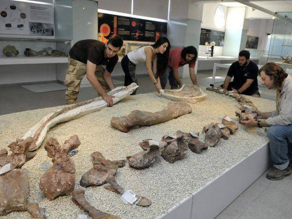 El museo Cornelio Moyano reabre luego de casi 4 a�os