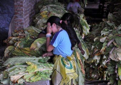 La trata laboral sum� 550 v�ctimas en Salta en los �ltimos meses