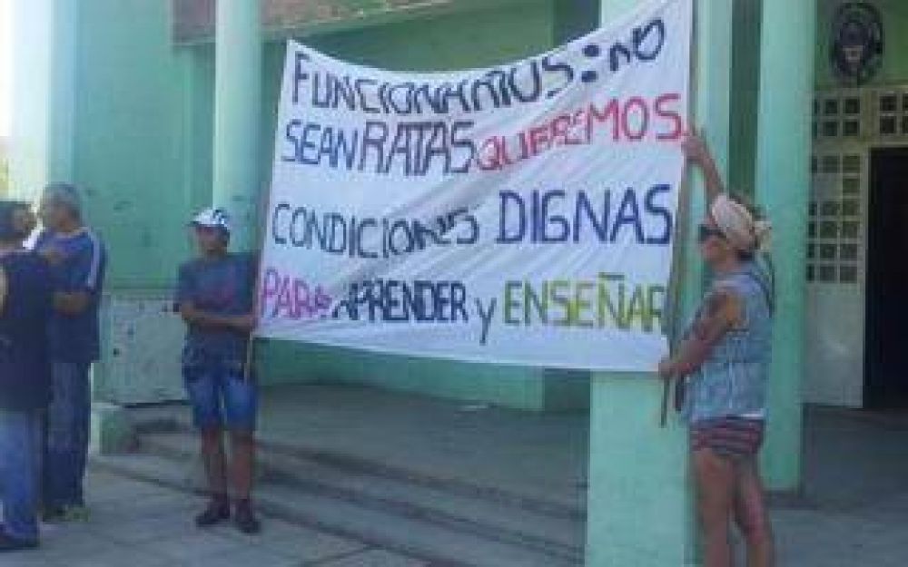 Bah�a Blanca: Cierran escuela en Villa Nocito por invasi�n de ratas