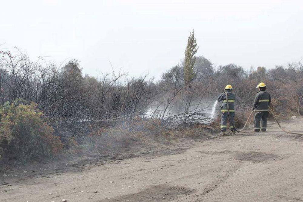 El fuego afect� 7 hect�reas de vegetaci�n baja en �irihuau