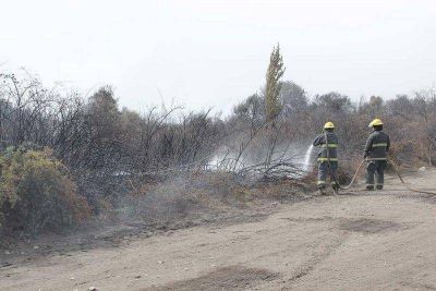 El fuego afect� 7 hect�reas de vegetaci�n baja en �irihuau