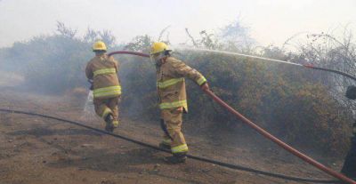 Controlan incendio forestal en el este 
