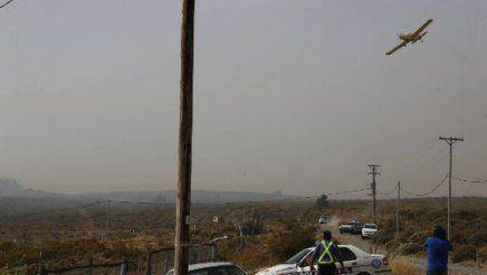 Fueron casi 15 las hect�reas afectadas por el fuego en �irihuau