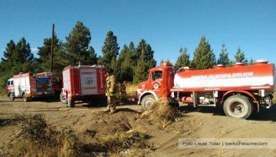 Apagaron el incendio forestal en el barrio El C�ndor