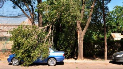 La t�rmica subi� otra vez a 40� y rige un alerta por posibles vientos fuertes de madrugada