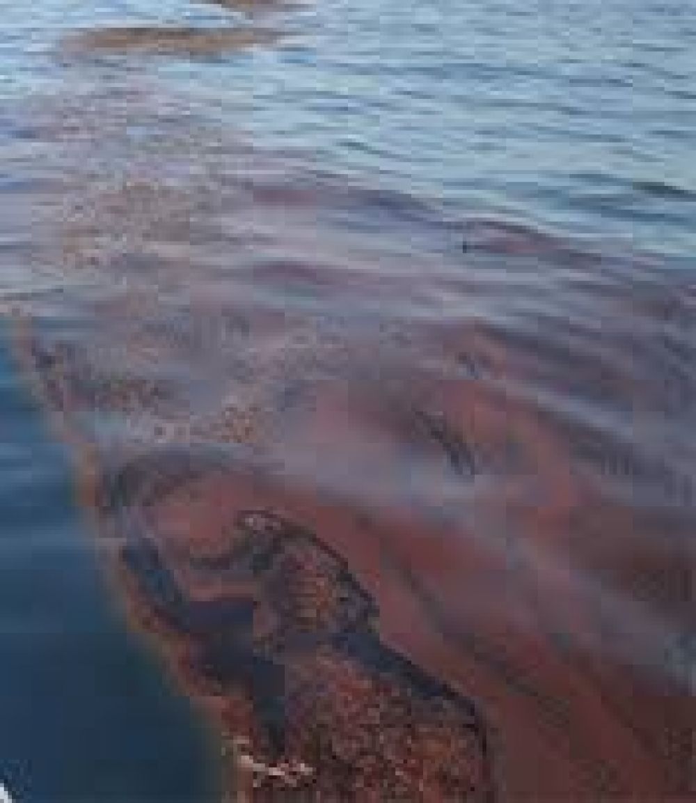 Petrobras produjo un importante derrame de hidrocarburo en la Ra de Baha Blanca