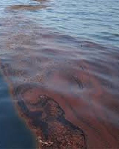 Petrobras produjo un importante derrame de hidrocarburo en la Ría de Bahía Blanca