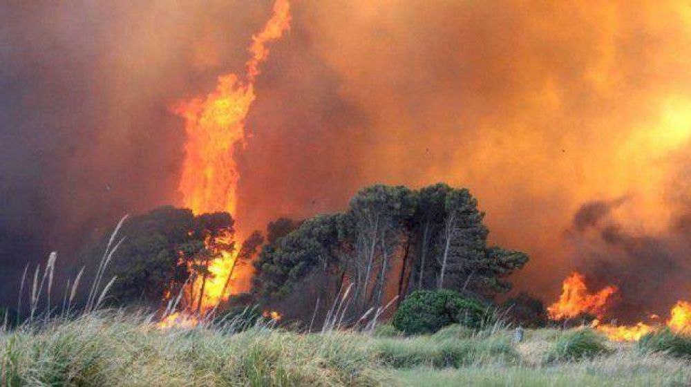 Importante operativo no logra controlar el incendio de Sierra de los Padres