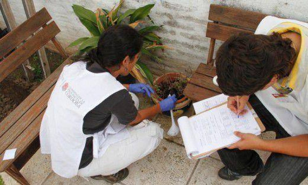 Dengue: aumentaron un 30% las consultas de casos febriles