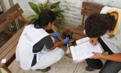 Dengue: aumentaron un 30% las consultas de casos febriles