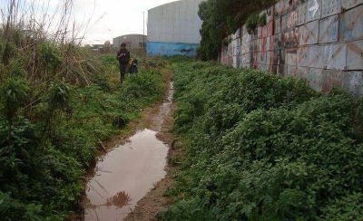 Siguen las quejas por los malos olores de las harineras del Puerto