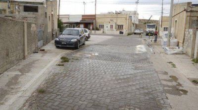 Indignaci�n por matanza de perros en Kil�metro 3