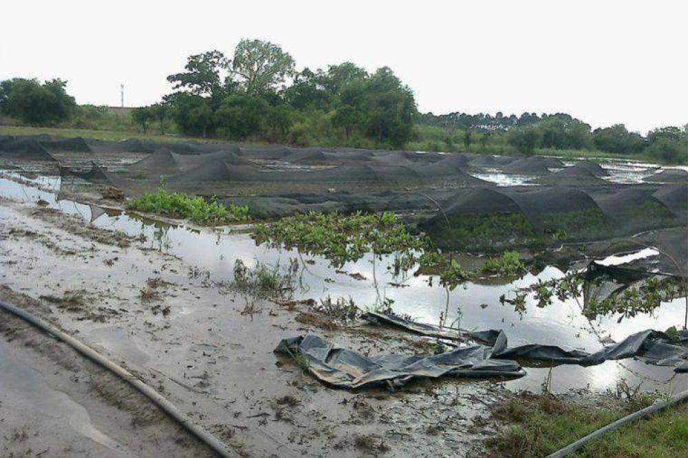 Lluvias: quinteros pidieron a Naci�n una bomba aliviadora