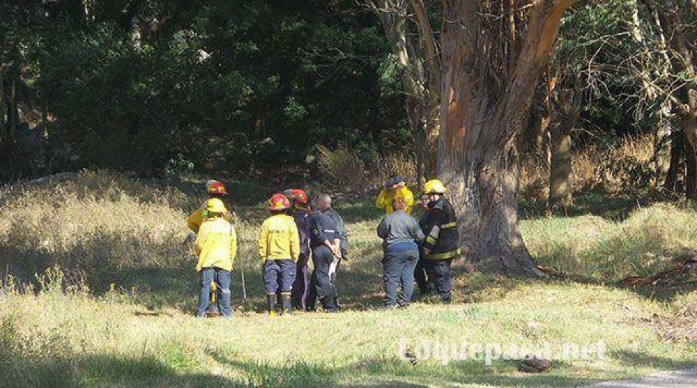 Fuego en la Sierra: El viento complic� el panorama