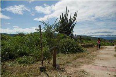 Se organizaron por Facebook para usurpar terrenos en el norte