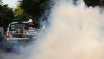 Es bajo el riesgo de que el dengue se vuelva end�mico