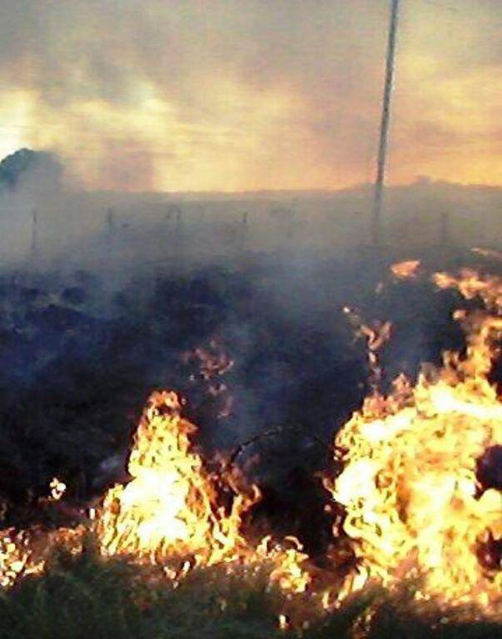 Gran incendio de pasto en el campo �La Uni�n�