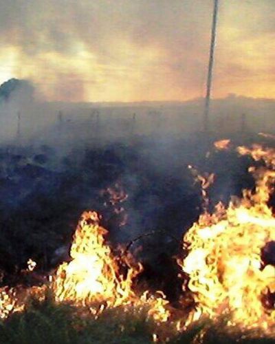 Gran incendio de pasto en el campo �La Uni�n�