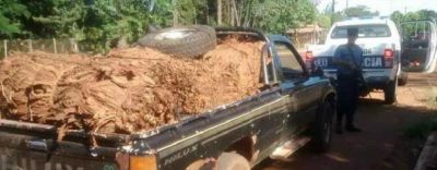 Decomisaron m�s de mil kilos de hojas de tabaco en El Soberbio