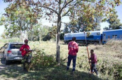 Desmalezamiento y limpieza en J�uregui