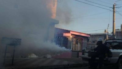 Dengue: si no llueve, hoy se retoman las fumigaciones