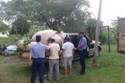 Dos detenidos con yerba robada