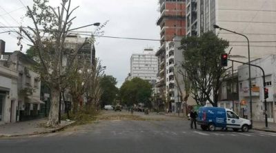 �Los estorninos pueden con los Bruera?