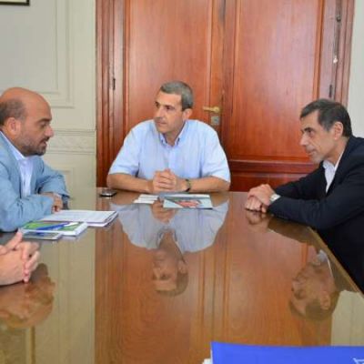Avanza importante inversi�n China en el Parque E�lico de Arauco
