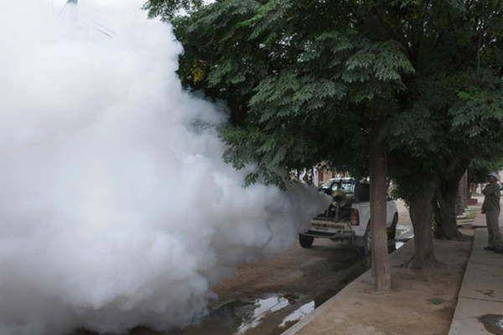 Intensifican tareas preventivas del dengue