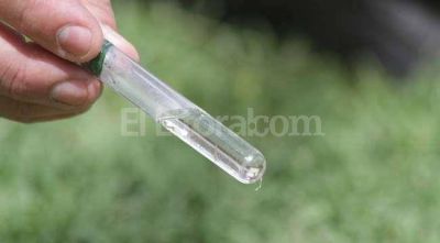 Confirman que ya son tres los casos de dengue en la provincia