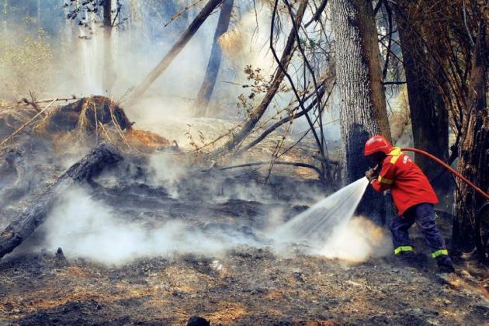 Incendios: Un centenar de brigadistas de otras provincias se suman al combate