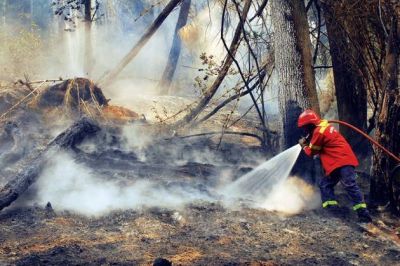 Incendios: Un centenar de brigadistas de otras provincias se suman al combate