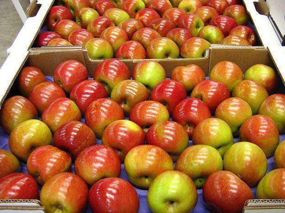 Gestiones contrarreloj de Mendoza y Naci�n para levantar el freno a la fruta dispuesto por Brasil