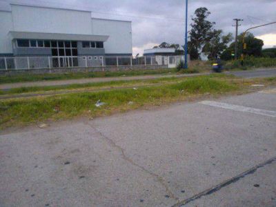 Piden mantenimiento del cantero central de ruta 88