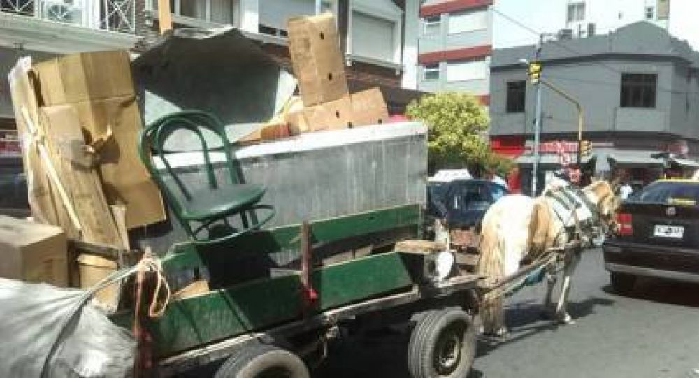 Algunos s�, otros no: �qu� opinan los cartoneros del proyecto de Mario Rodr�guez?