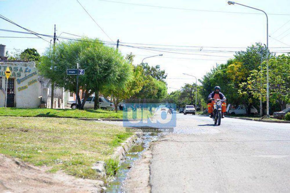 Oscura historia de amor de un mono suelto en calles de Paran�